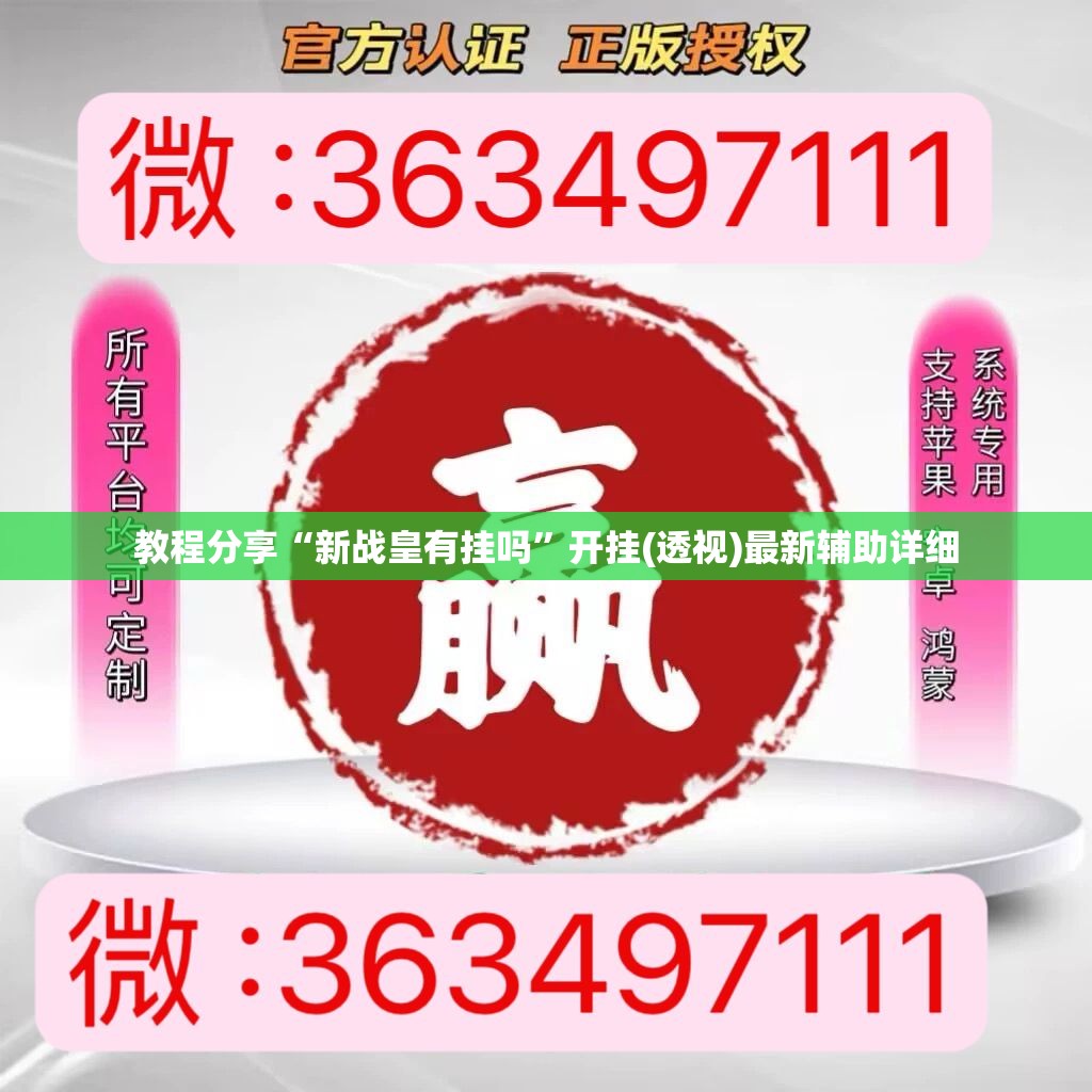 教程分享“新战皇有挂吗	”开挂(透视)最新辅助详细