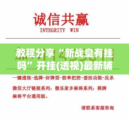 教程分享“新战皇有挂吗”开挂(透视)最新辅助详细