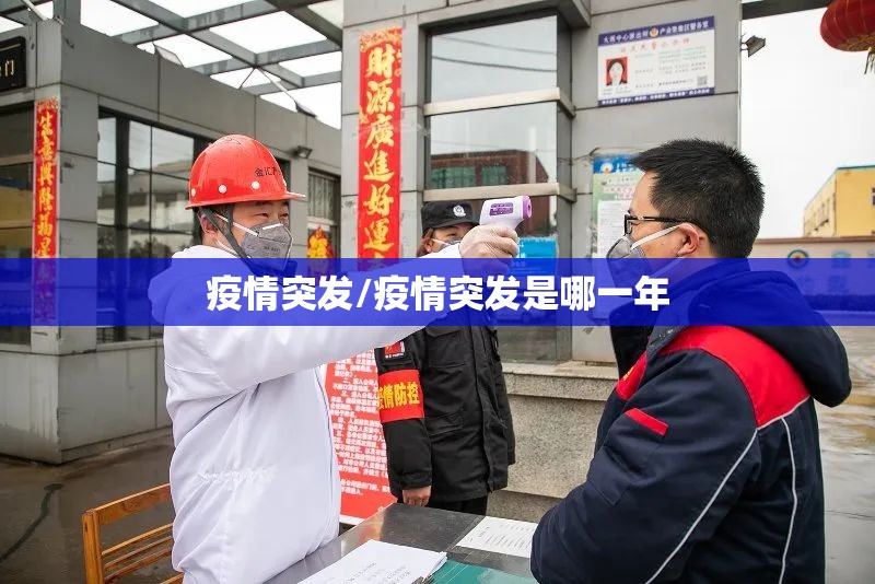 疫情突发/疫情突发是哪一年