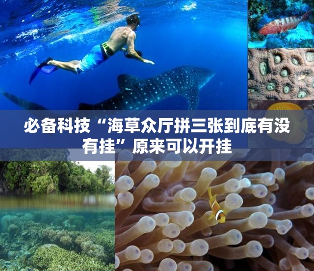 必备科技“海草众厅拼三张到底有没有挂	”原来可以开挂
