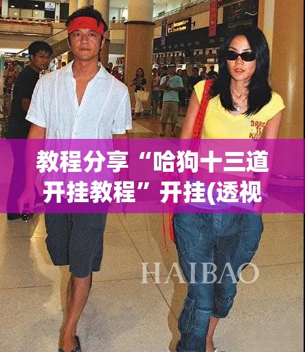 教程分享“哈狗十三道开挂教程	”开挂(透视)辅助神器