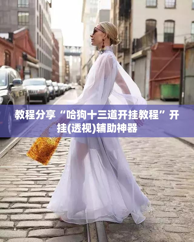 教程分享“哈狗十三道开挂教程”开挂(透视)辅助神器