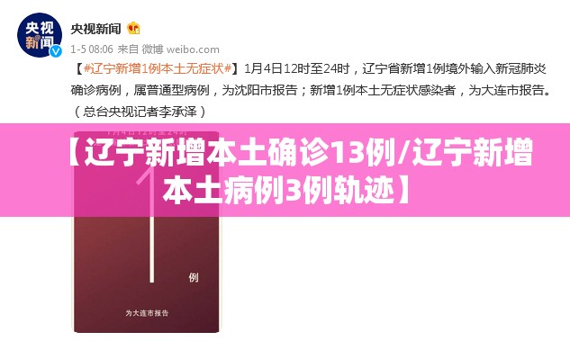 【辽宁新增本土确诊13例/辽宁新增本土病例3例轨迹】