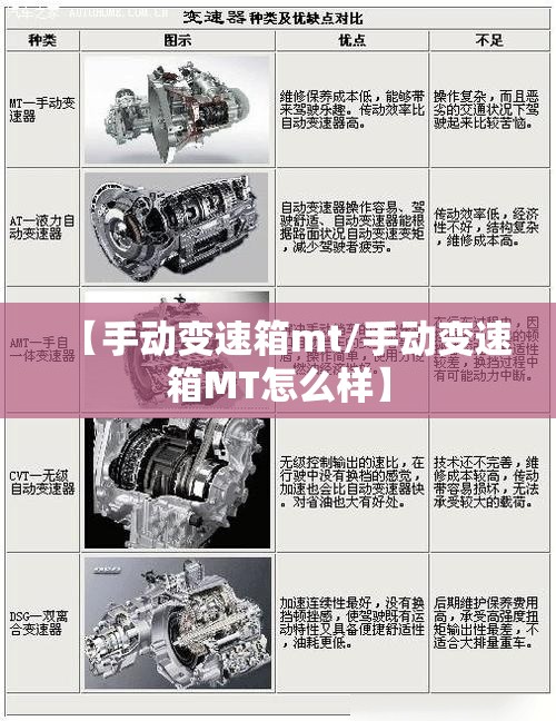 【手动变速箱mt/手动变速箱MT怎么样】