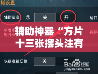 辅助神器“方片十三张摆头注有挂吗”详细开挂教程
