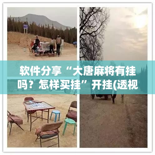 软件分享“大唐麻将有挂吗？怎样买挂”开挂(透视)辅助神器