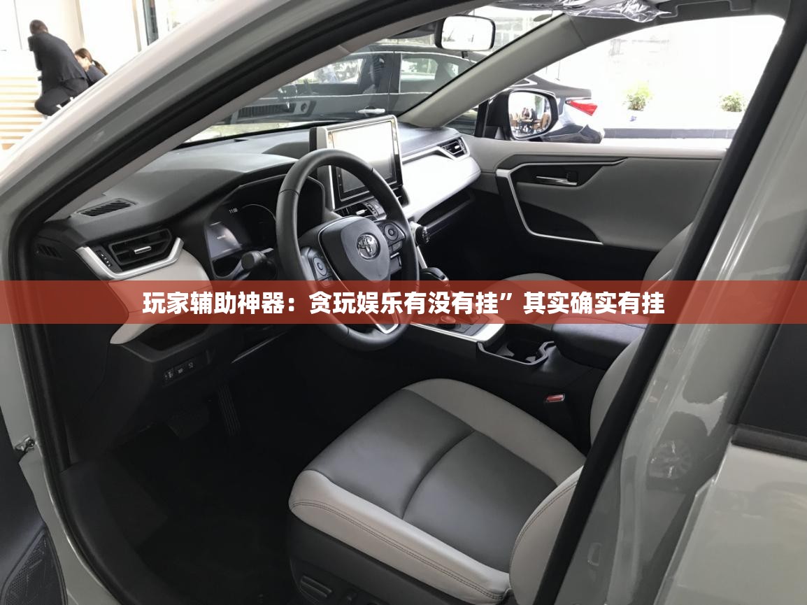 玩家辅助神器：贪玩娱乐有没有挂”其实确实有挂