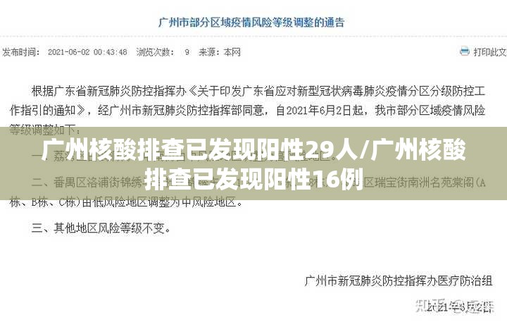 广州核酸排查已发现阳性29人/广州核酸排查已发现阳性16例