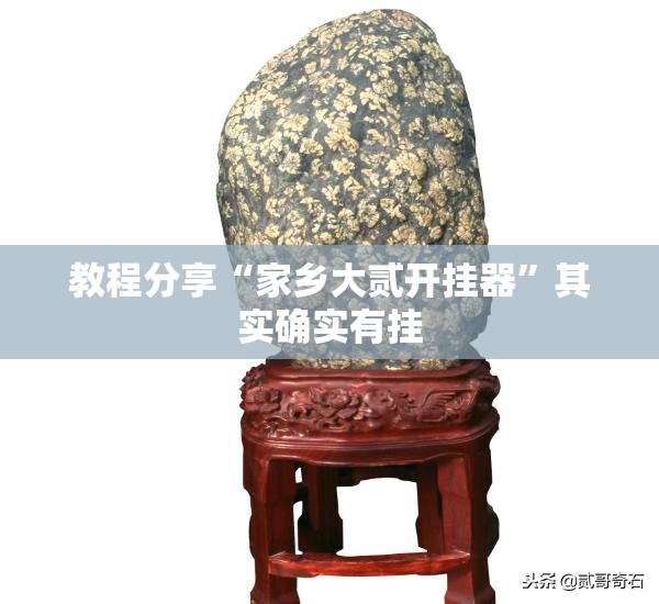 教程分享“家乡大贰开挂器”其实确实有挂