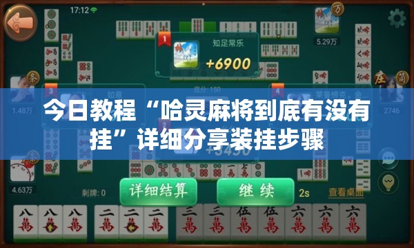 今日教程“哈灵麻将到底有没有挂”详细分享装挂步骤