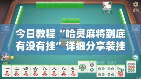 今日教程“哈灵麻将到底有没有挂”详细分享装挂步骤