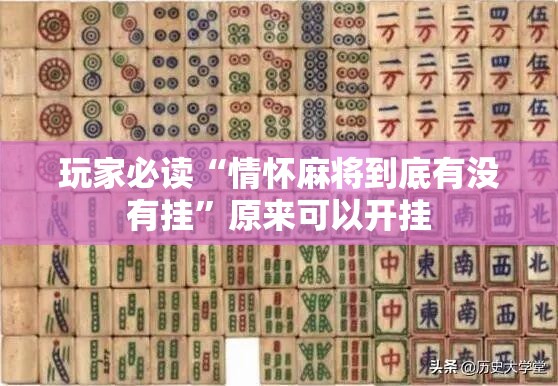 玩家必读“情怀麻将到底有没有挂	”原来可以开挂
