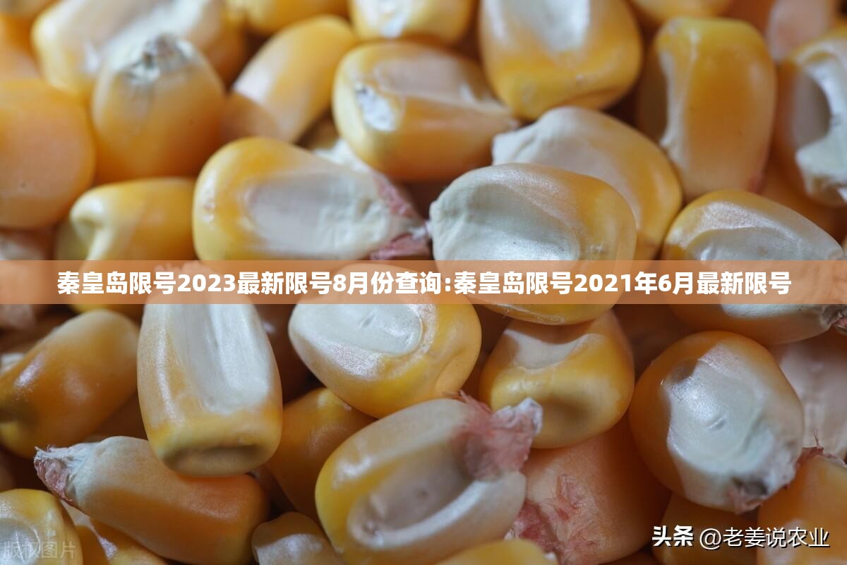 秦皇岛限号2023最新限号8月份查询:秦皇岛限号2021年6月最新限号