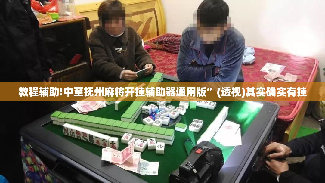 教程辅助!中至抚州麻将开挂辅助器通用版	”(透视)其实确实有挂