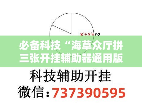 必备科技“海草众厅拼三张开挂辅助器通用版”详细外挂透视辅助软件教程