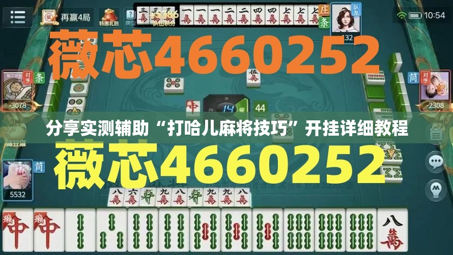 分享实测辅助“打哈儿麻将技巧”开挂详细教程