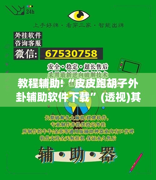教程辅助!“皮皮跑胡子外卦辅助软件下载”(透视)其实确实有挂