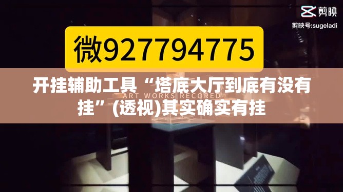 开挂辅助工具“塔底大厅到底有没有挂”(透视)其实确实有挂