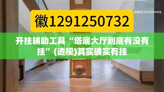 开挂辅助工具“塔底大厅到底有没有挂”(透视)其实确实有挂