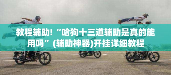 教程辅助!“哈狗十三道辅助是真的能用吗”(辅助神器)开挂详细教程