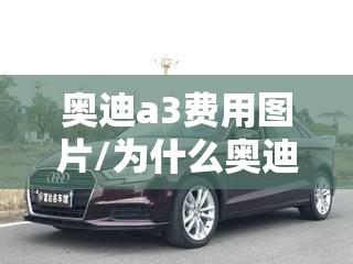 奥迪a3费用图片/为什么奥迪a3叫穷人车