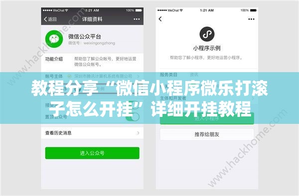 教程分享“微信小程序微乐打滚子怎么开挂”详细开挂教程