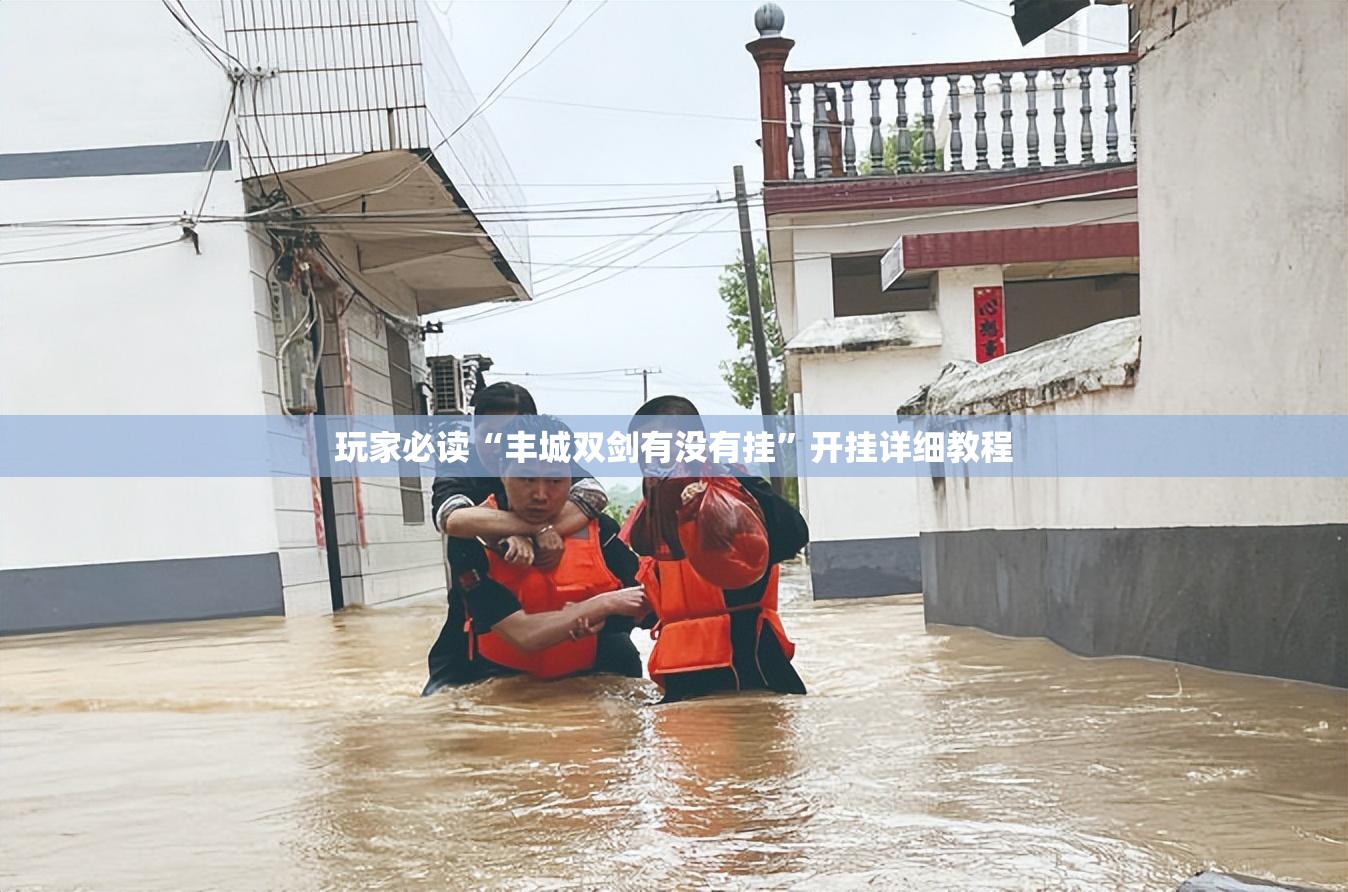 玩家必读“丰城双剑有没有挂”开挂详细教程