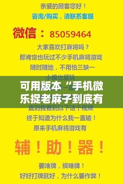 可用版本“手机微乐捉老麻子到底有没有挂”细辅助教程分享