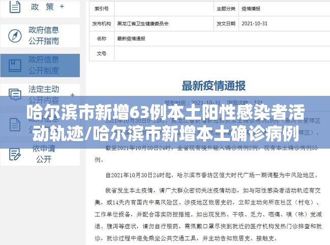 哈尔滨市新增63例本土阳性感染者活动轨迹/哈尔滨市新增本土确诊病例8例,详情公布