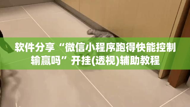软件分享“微信小程序跑得快能控制输赢吗”开挂(透视)辅助教程