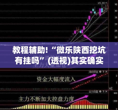 教程辅助!“微乐陕西挖坑有挂吗”(透视)其实确实有挂
