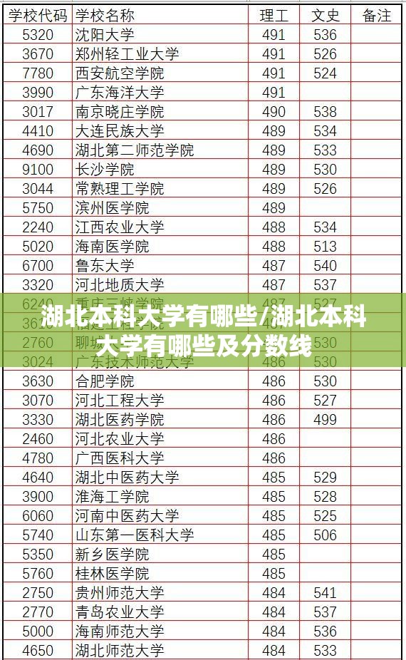 湖北本科大学有哪些/湖北本科大学有哪些及分数线