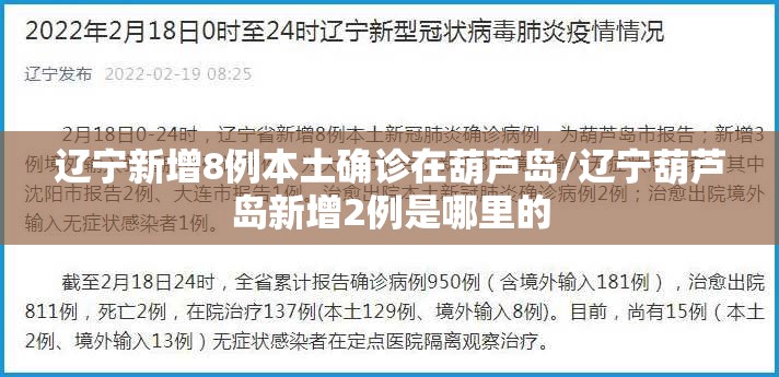 辽宁新增8例本土确诊在葫芦岛/辽宁葫芦岛新增2例是哪里的