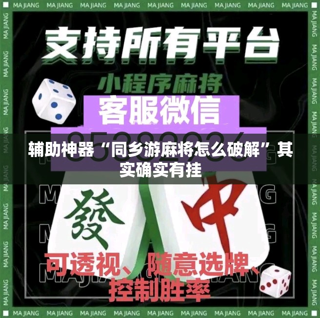 辅助神器“同乡游麻将怎么破解	”其实确实有挂