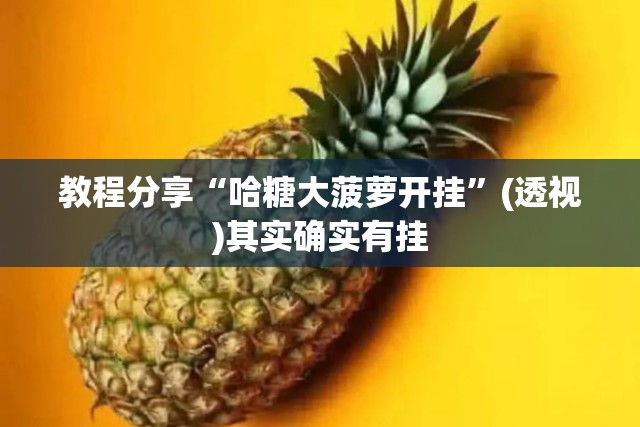 教程分享“哈糖大菠萝开挂	”(透视)其实确实有挂