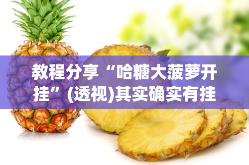 教程分享“哈糖大菠萝开挂”(透视)其实确实有挂