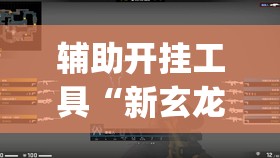 辅助开挂工具“新玄龙大厅有没有透视挂”(透视挂)辅助下载教程