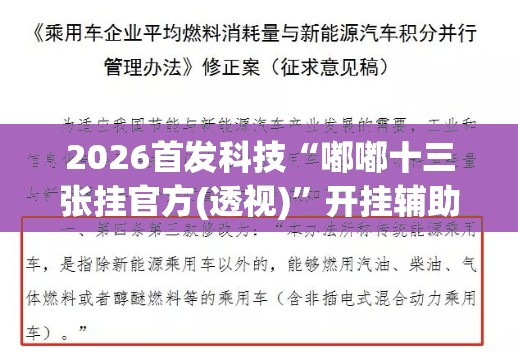 2026首发科技“嘟嘟十三张挂官方(透视)”开挂辅助脚本+详细开挂安装教程