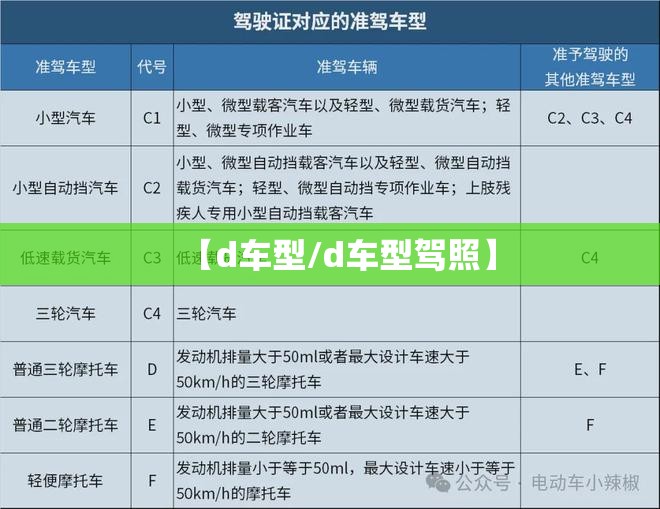 【d车型/d车型驾照】