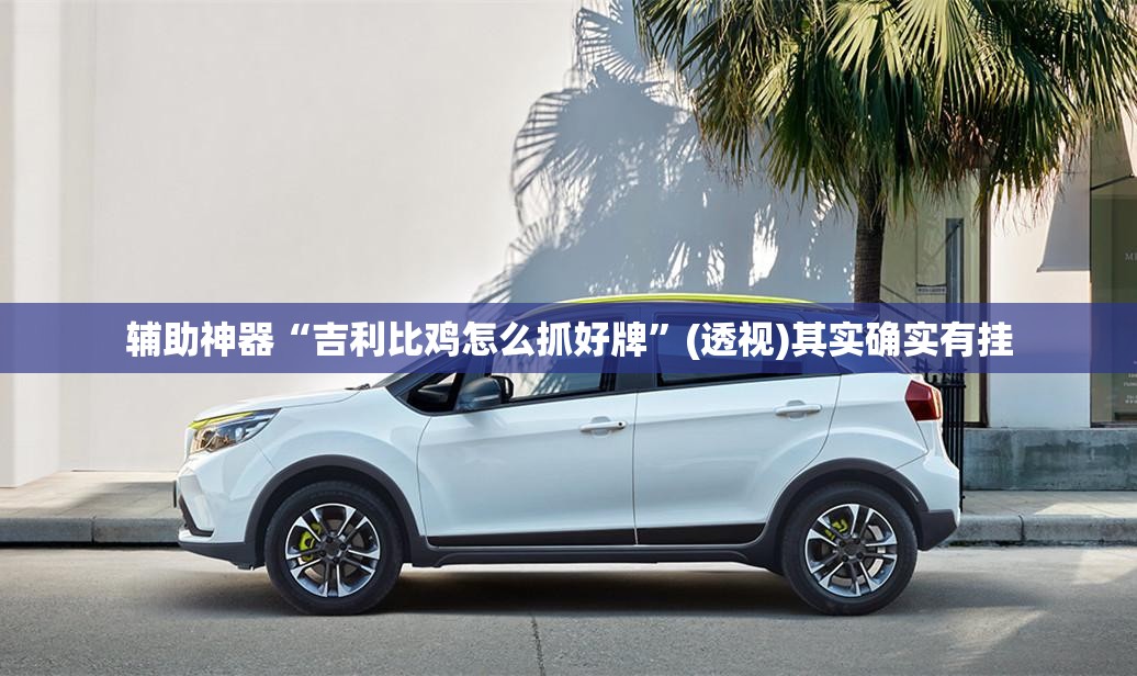 辅助神器“吉利比鸡怎么抓好牌”(透视)其实确实有挂
