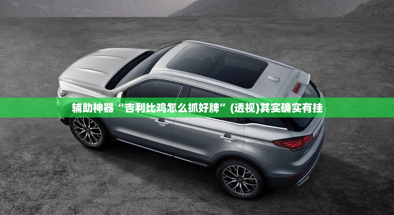 辅助神器“吉利比鸡怎么抓好牌”(透视)其实确实有挂
