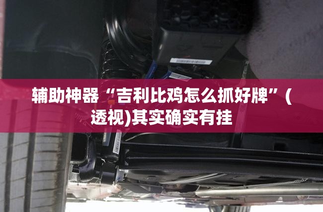 辅助神器“吉利比鸡怎么抓好牌”(透视)其实确实有挂