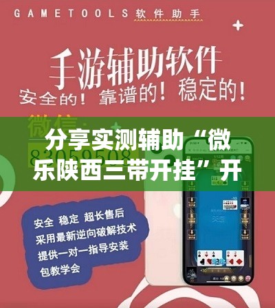 分享实测辅助“微乐陕西三带开挂”开挂(透视)最新辅助详细