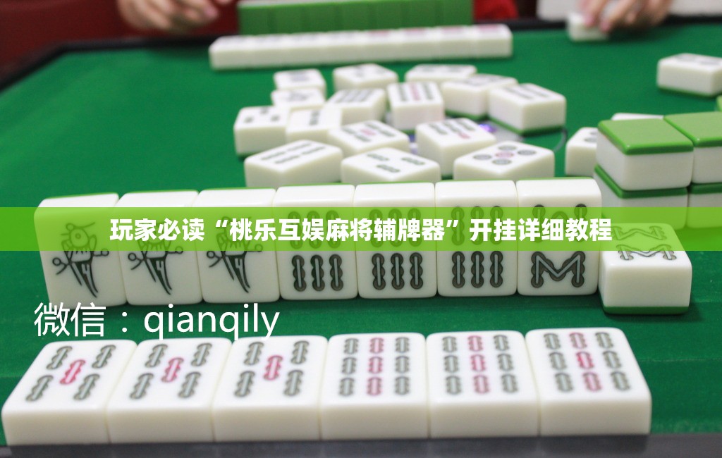 玩家必读“桃乐互娱麻将辅牌器”开挂详细教程