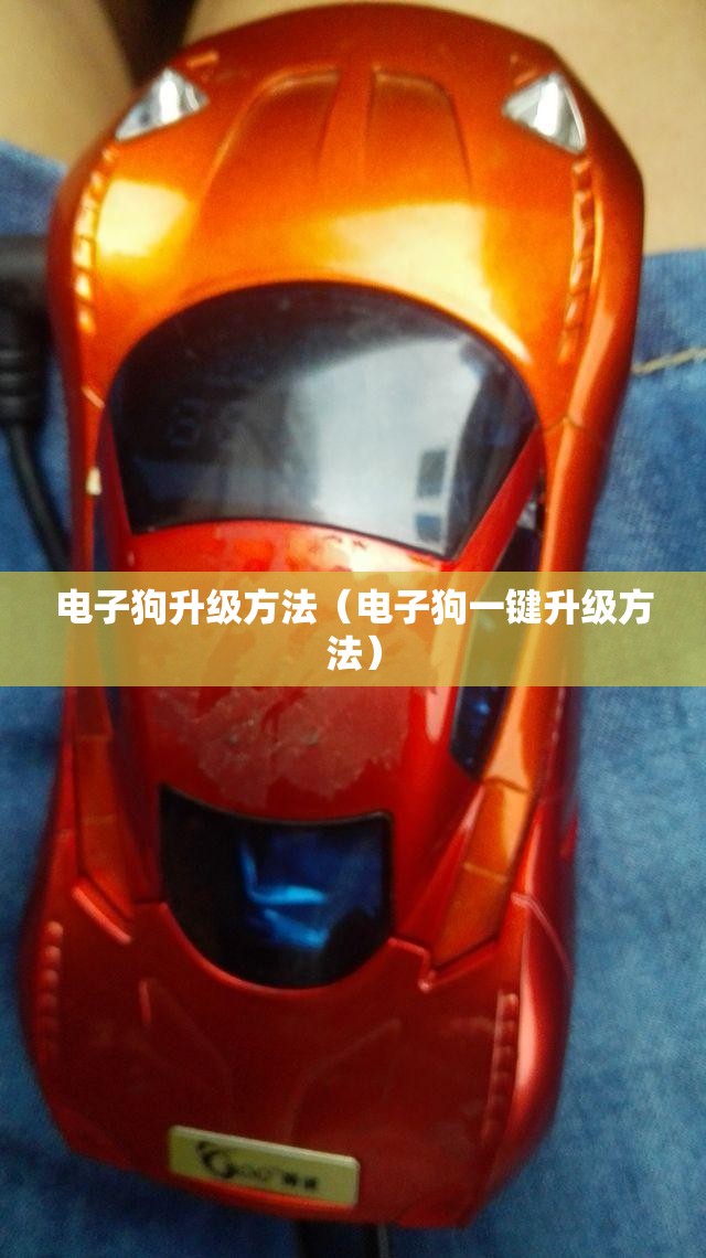 电子狗升级方法（电子狗一键升级方法）