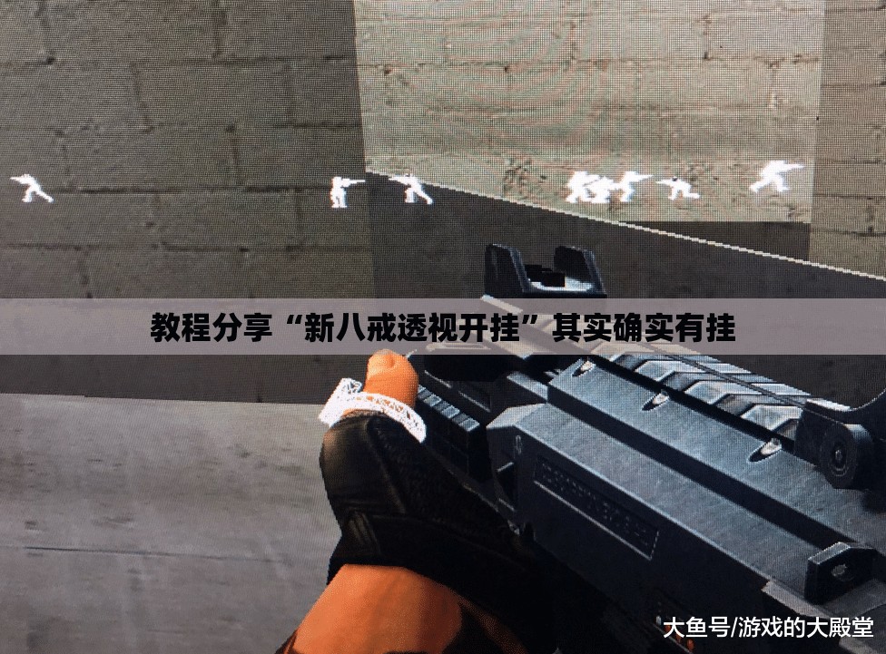 教程分享“新八戒透视开挂	”其实确实有挂