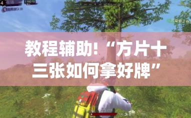 教程辅助!“方片十三张如何拿好牌”(透视)其实确实有挂