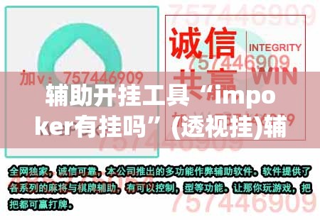 辅助开挂工具“impoker有挂吗”(透视挂)辅助下载教程