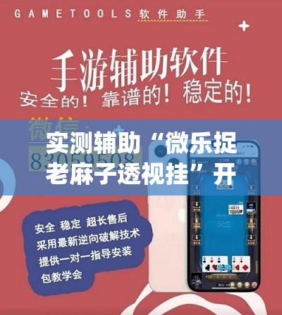 实测辅助“微乐捉老麻子透视挂”开挂(透视)辅助教程