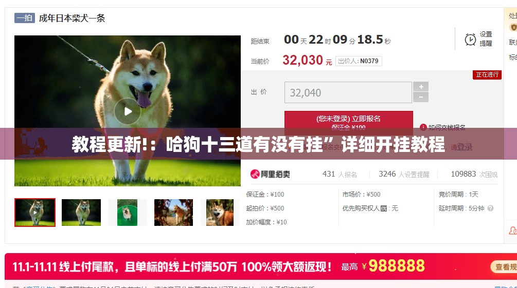 教程更新!：哈狗十三道有没有挂	”详细开挂教程